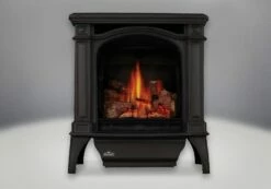 Napoleon GDS25N Gas Stove - 25"