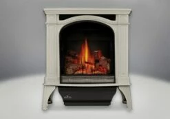 Napoleon GDS25N Gas Stove - 25" 8 Napoleon GDS25N Gas Stove - 25" -BBQDIRECT Sales gds25 winterfrost