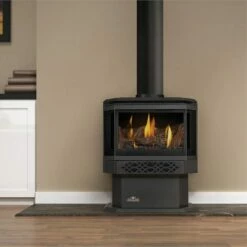 Napoleon GDS28 Gas Direct Vent Stove -BBQDIRECT Sales gds28 main image