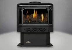 Napoleon GDS28 Gas Direct Vent Stove -BBQDIRECT Sales gds28 silver