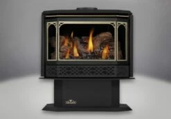 Napoleon GDS50 Gas Direct Vent Stove -BBQDIRECT Sales gds50 gold
