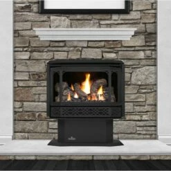 Napoleon GDS50 Gas Direct Vent Stove -BBQDIRECT Sales gds50 main