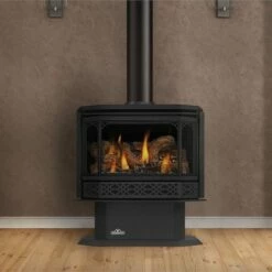 Napoleon GDS50 Gas Direct Vent Stove