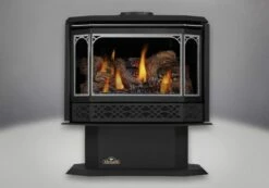Napoleon GDS50 Gas Direct Vent Stove -BBQDIRECT Sales gds50 silver