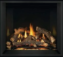 Napoleon Altitude X 36 Direct Vent Gas Fireplace - AX36 -BBQDIRECT Sales gggggg 3