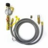 HPC 90,000 BTU Propane Hose With Quick Disconnect Fittings - FPLP90 2 HPC 90,000 BTU Propane Hose With Quick Disconnect Fittings - FPLP90 -BBQDIRECT Sales hpc fplp90