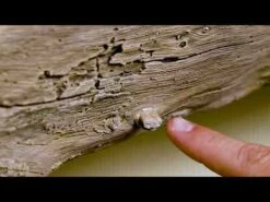 Lexington Hearth Rickhouse Weathered Grey 5â Fireplace Non-Combustible Mantel - RH-5-LH-WG -BBQDIRECT Sales hqdefault 25 93