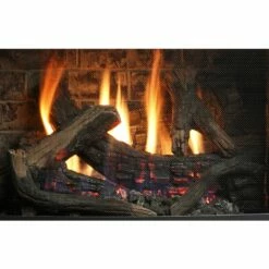 Kingsman Gas Direct Vent Stove 37 Kingsman Gas Direct Vent Stove -BBQDIRECT Sales logf451 1 3