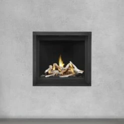 Napoleon Altitude X 36 Direct Vent Gas Fireplace - AX36 -BBQDIRECT Sales logs birch