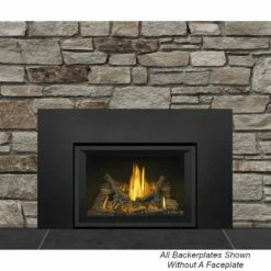 Napoleon Oakville GDIX4 Gas Direct Vent Fireplace Insert -BBQDIRECT Sales mbk3b2844