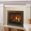 Majestic Meridian Platinum Gas Direct Vent Fireplace - 36" -BBQDIRECT Sales meridian platinum 42 new main