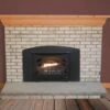 Buck Stove Model Premier T-33 Gas Fireplace Insert - 32" 2 Buck Stove Model Premier T-33 Gas Fireplace Insert - 32" -BBQDIRECT Sales model33insert 3