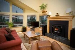 Buck Stove 32-Inch Ventless Gas Fireplace With Blower - 34 Contemporary -BBQDIRECT Sales model34 contemp black inuse