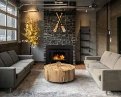 Buck Stove Model 81 Wood Insert With Blower - Heats Up To 2700 Square Feet -BBQDIRECT Sales model81 blackdoor blacktrimkit center inuse