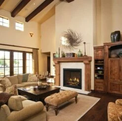 Napoleon Elevation X 36 Direct Vent Gas Fireplace - EX36 -BBQDIRECT Sales ntrgt