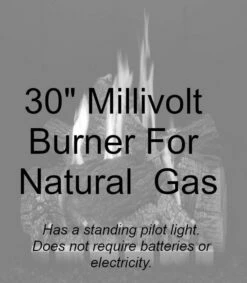 Empire Carol Rose Outdoor 42 Inch Stainless Steel Ventless Firebox With 30 Inch Wildwood Log Set And 30 Inch Millivolt Harmony Burner - OP42FB2MF / OLX30WR / ONR30 -BBQDIRECT Sales onr30n 1