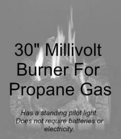 Empire Carol Rose Outdoor 30 Inch Harmony Millivolt Burner And 30 Inch Wildwood Log Set - ONR30 / OLX30WR -BBQDIRECT Sales onr30p