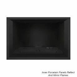 Napoleon Gas Direct Vent Fireplace Insert - GDIX3 -BBQDIRECT Sales prpi3