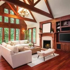 Napoleon Elevation X 36 Direct Vent Gas Fireplace - EX36 -BBQDIRECT Sales rberw