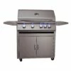 RCS Premier Series 32-Inch Freestanding Gas Grill With Rear Infrared Burner & Blue LED Lights - RJC32AL/RJCMC/RJC32ALLP -BBQDIRECT Sales rjc32al rjcmc rjc32allp
