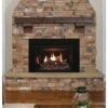 Empire 35" Rushmore Clean Face Direct Vent Gas Fireplace Insert - DVCT35CBN95 1 Empire 35" Rushmore Clean Face Direct Vent Gas Fireplace Insert - DVCT35CBN95 -BBQDIRECT Sales rushmore main 2 1