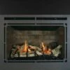 Breckwell Large Gas Direct Vent Fireplace Insert With Blower - BH2818I -BBQDIRECT Sales sdsfghj 1