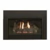 Empire Innsbrook Gas Direct Vent Fireplace Insert Small - 29" -BBQDIRECT Sales standard screen barrier no sku
