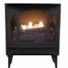 Buck Stove Premier T-33 Freestanding Gas Stove - 26-Inch 2 Buck Stove Premier T-33 Freestanding Gas Stove - 26-Inch -BBQDIRECT Sales t33 1