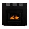 Buck Stove 21-ZC Wood Fireplace With Blower - Heats Up To 1800 Square Feet -BBQDIRECT Sales zc21 black