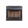 Buck Stove 42-Inch Ventless Fire Box - 42ZCBB 2 Buck Stove 42-Inch Ventless Fire Box - 42ZCBB -BBQDIRECT Sales zcbb no logs front